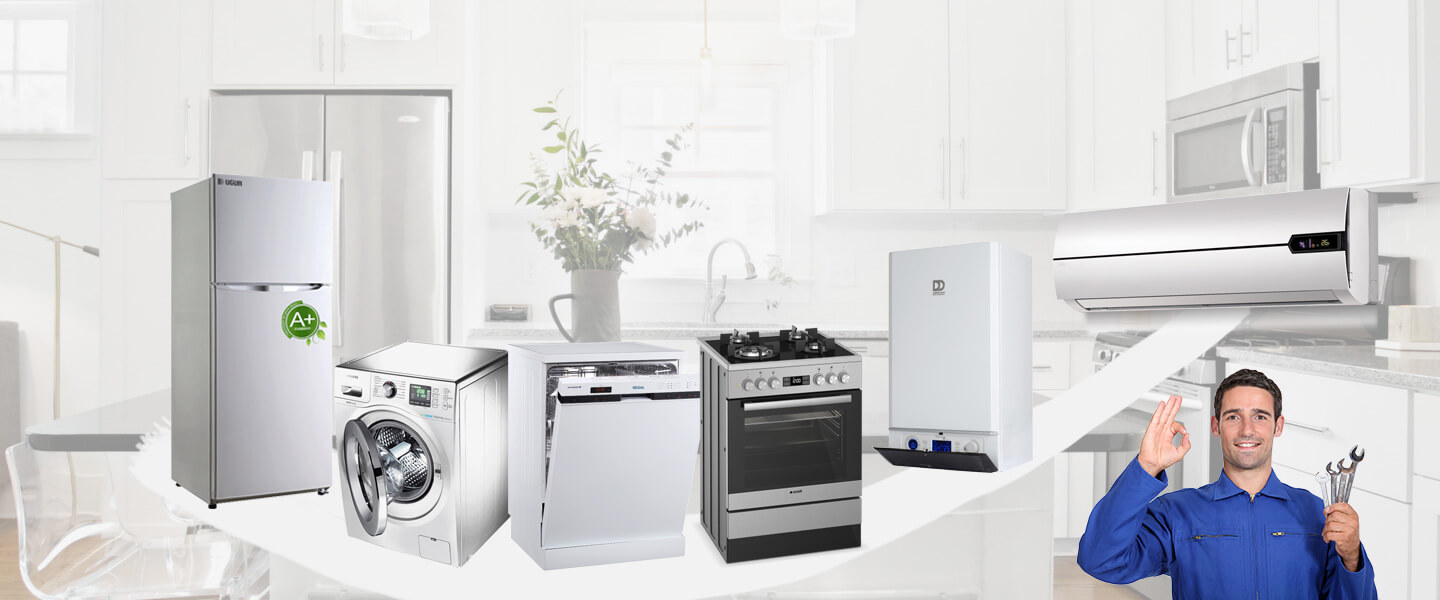 Bilecik Carrier Servisi
